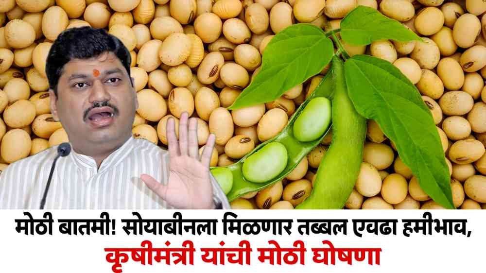 Soyabean Market Rate